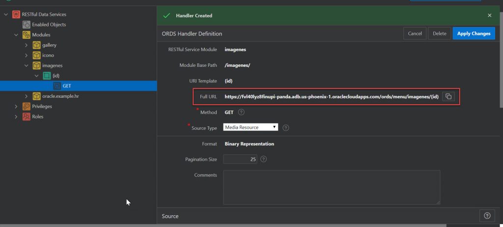 Oracle Apex Auto Rest Api Cómo crear un API Restful en Oracle APEX que nos devuelva una imagen en ...